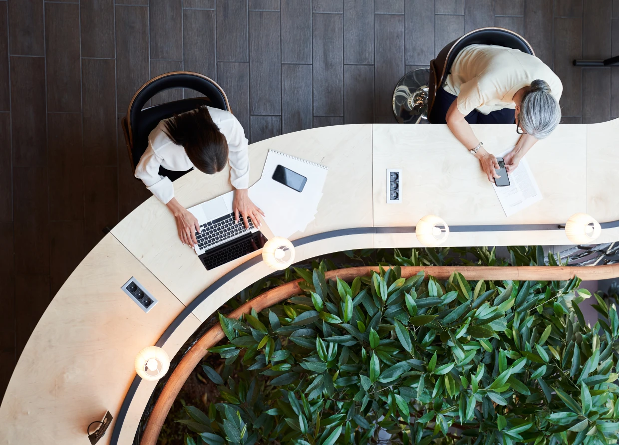 Top view of modern workspace with plants